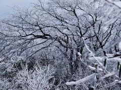 -梵净山旅游区