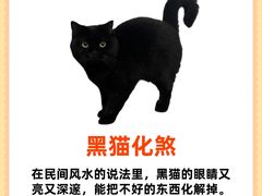 -守诺宠物医院·眼科· 特色牙科·异宠专科(虹口店)