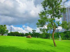 -香蜜公园