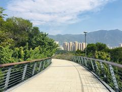 -牛岗山公园