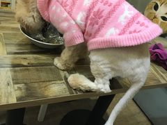 -小时光咖啡馆(开森度假森林店)
