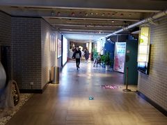 -太平洋影院(西村店)