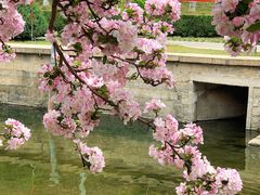 -海棠花溪(元大都城垣遗址公园)