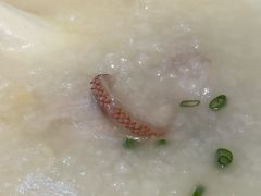 东星斑片粥-金玉满堂潮州酒楼(无限极荟购物广场店)