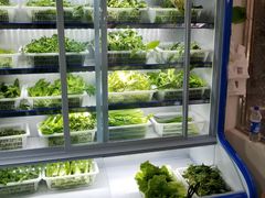 -黔府豆米火锅野菜馆(南马店)