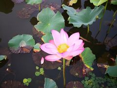 -江南大学(蠡湖校区)