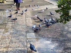 -灌篮高手动画打卡地