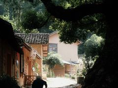 -杨家堂村