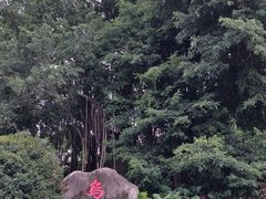 -乌山风景区