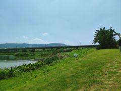 -光明小镇欢乐田园