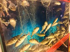 -肆月河豚·新淮扬(金融街店)