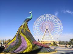 -七彩云南欢乐世界