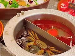 -牛YO寿喜烧和牛火锅自助(三台子万象汇店)