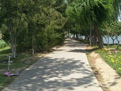 -大兴滨河森林公园