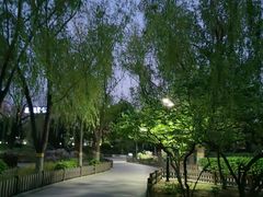 -莲花池公园