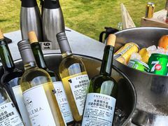 -三亚绿发山海天JW万豪酒店