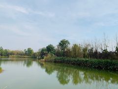 -白鹭湾湿地公园