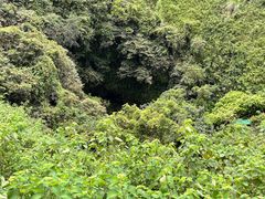 -海口火山口国家地质公园