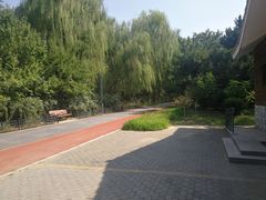 -大兴滨河森林公园