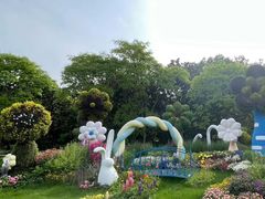 -上海共青森林公园