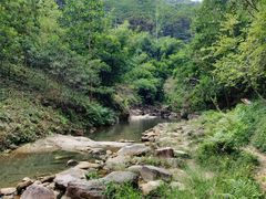 -广州白江湖森林公园