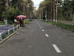 -黑龙江省森林植物园