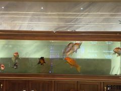 -160烧烤(香坊店)
