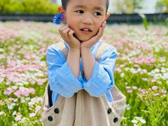 -菊园百果园