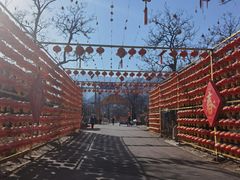-北京凤凰岭