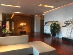 -广州富力君悦大酒店O SPA