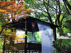 -八大山人梅湖景区