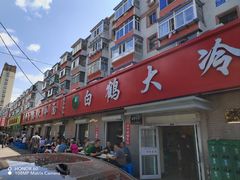 -白鹤大冷面