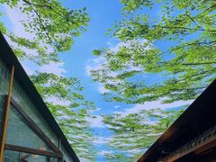 -大融厨·鸡毛店·川菜(果壳里东安湖店)