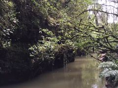 -怀托摩萤火虫洞