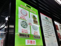 -回坊马二饺子馆