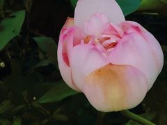 -云水涧亲子度假酒店