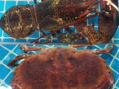 -三亚火车头万人海鲜广场