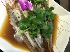 -金海阁海鲜火锅
