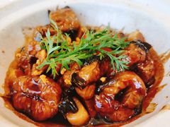 -子霖南山鲜虾面(南山总店)