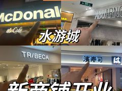 -鹏欣水游城