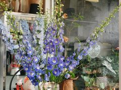 -FEI FEI FLOWER鲜花店·气球派对·宝宝宴布置(虹口德必运动Loft店)