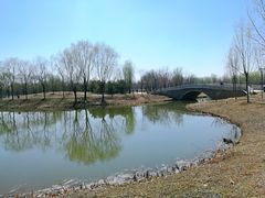 -东郊湿地公园