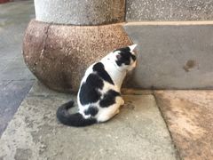 -安若徽菜