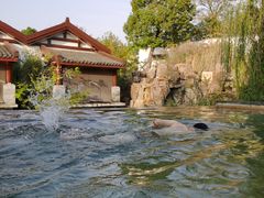 -深业半汤御泉庄温泉