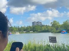 -上海长兴岛郊野公园