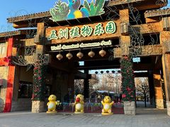 -南宫五洲植物乐园