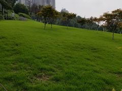 -龙头寺公园