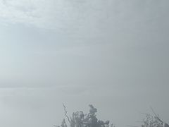 -金子山原生态旅游风景区
