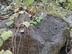 -南京市江宁方山