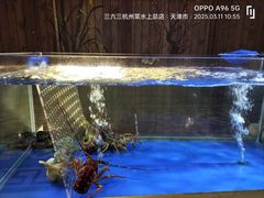 -三六三杭州菜(水上总店)
